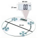 Glass Weight Scale