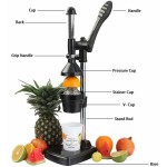 Hand press juicer