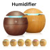 Humidifier for Room Moisture