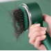 Self Cleaning Button Press Hair Comb
