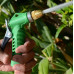 Water Spray Gun