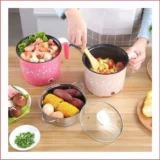 Electric Steamer Pot