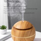 Humidifier for Room Moisture